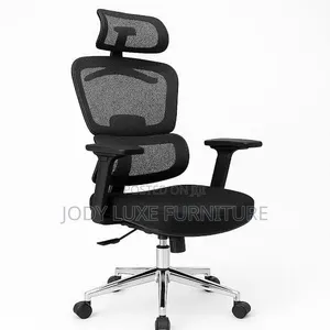 Executive Office Chair (Orthopedic)