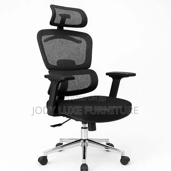 Executive Office Chair (Orthopedic)