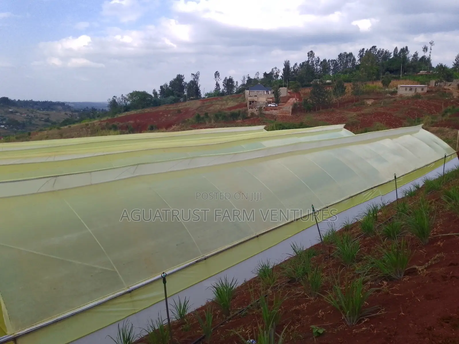 Greenhouse Installation