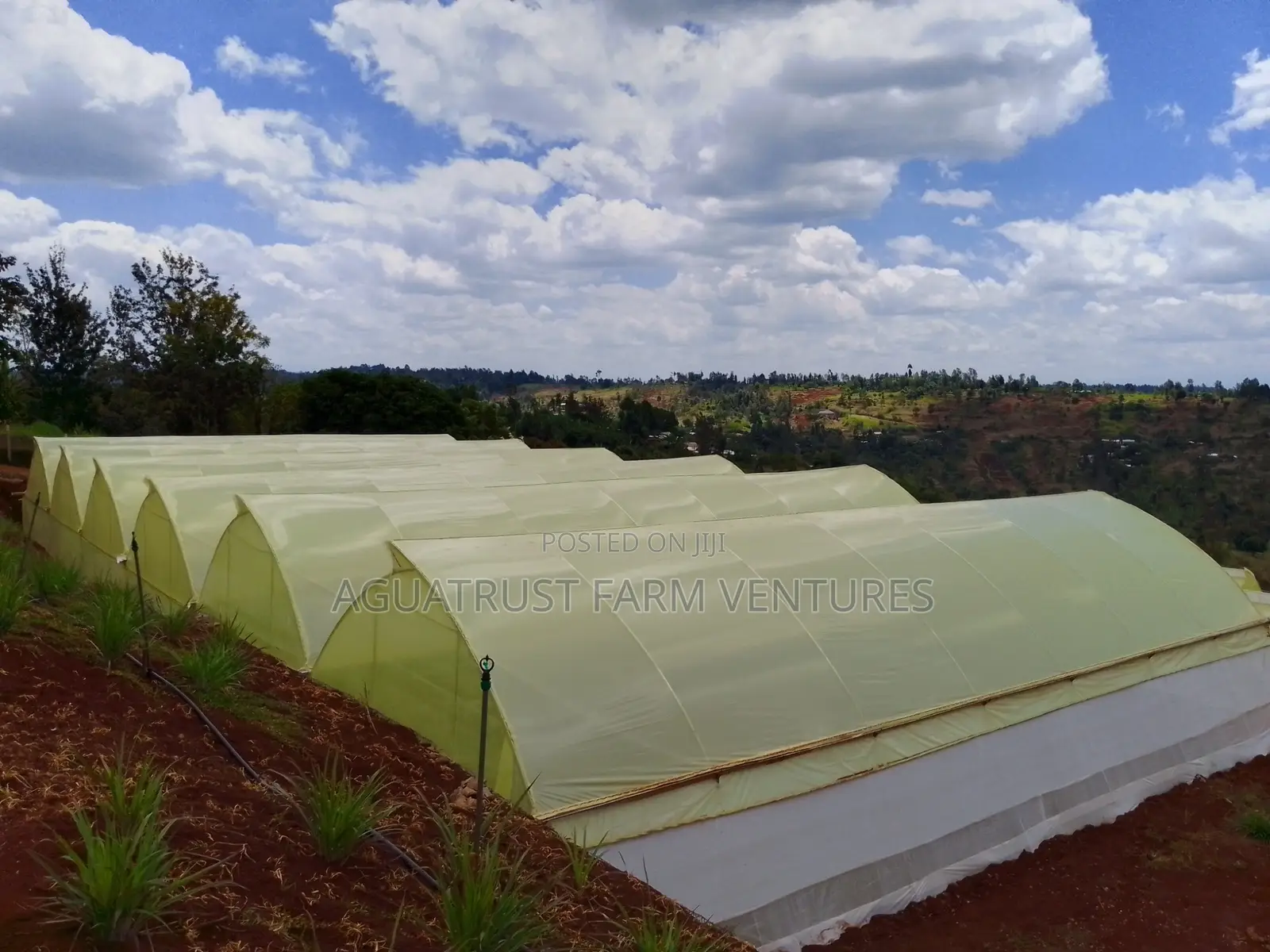 Greenhouse Installation