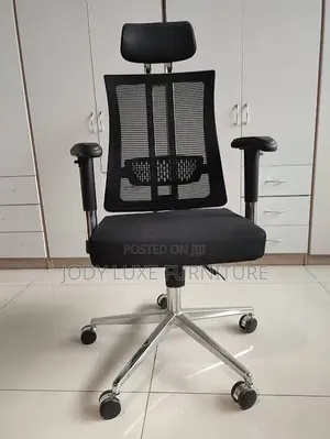 Executive Office Chair (Orthopedic)