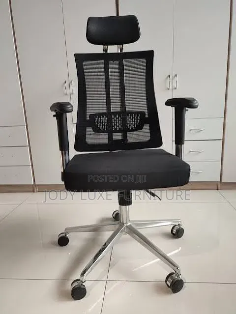 Executive Office Chair (Orthopedic)
