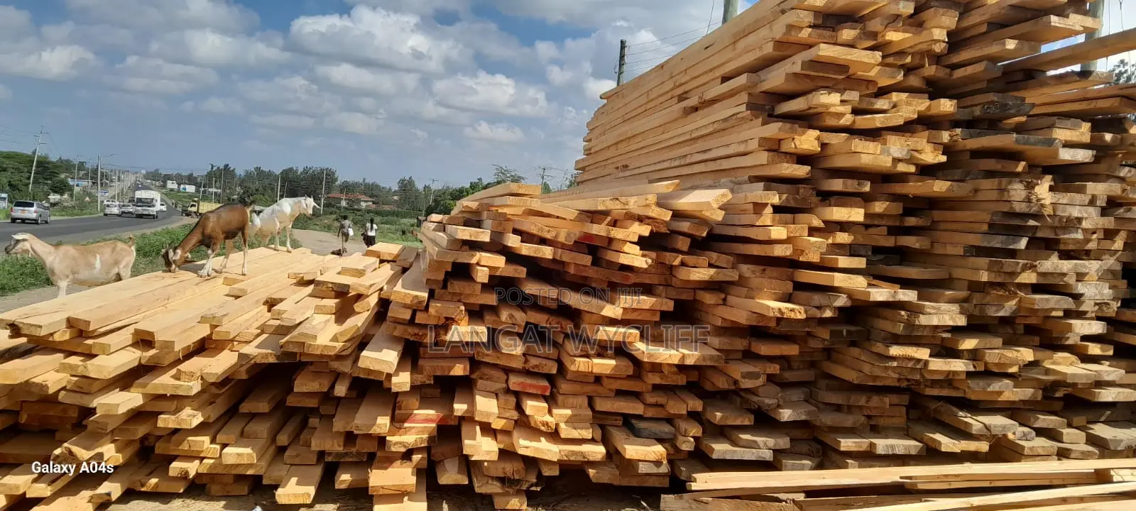 Green Wood Marketing
