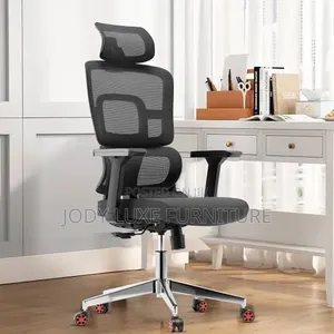 Office Chair (Orthopedic)