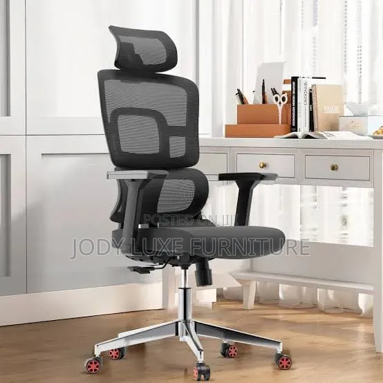 Office Chair (Orthopedic)