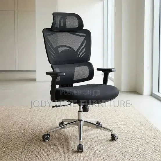 Office Chair (Orthopedic)