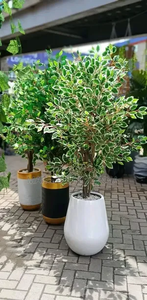 Big Artificial House Plants