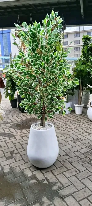 Big Artificial House Plants