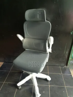Home and Office Chair