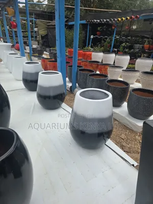 Fibre Pots With Live Plants