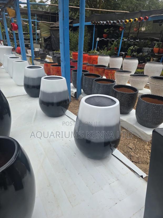 Fibre Pots With Live Plants - main view