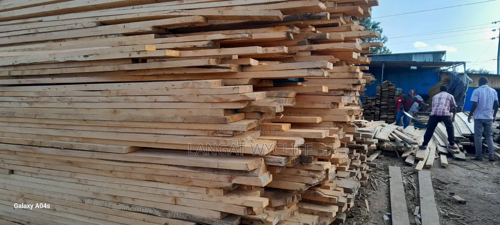 Timber Industry