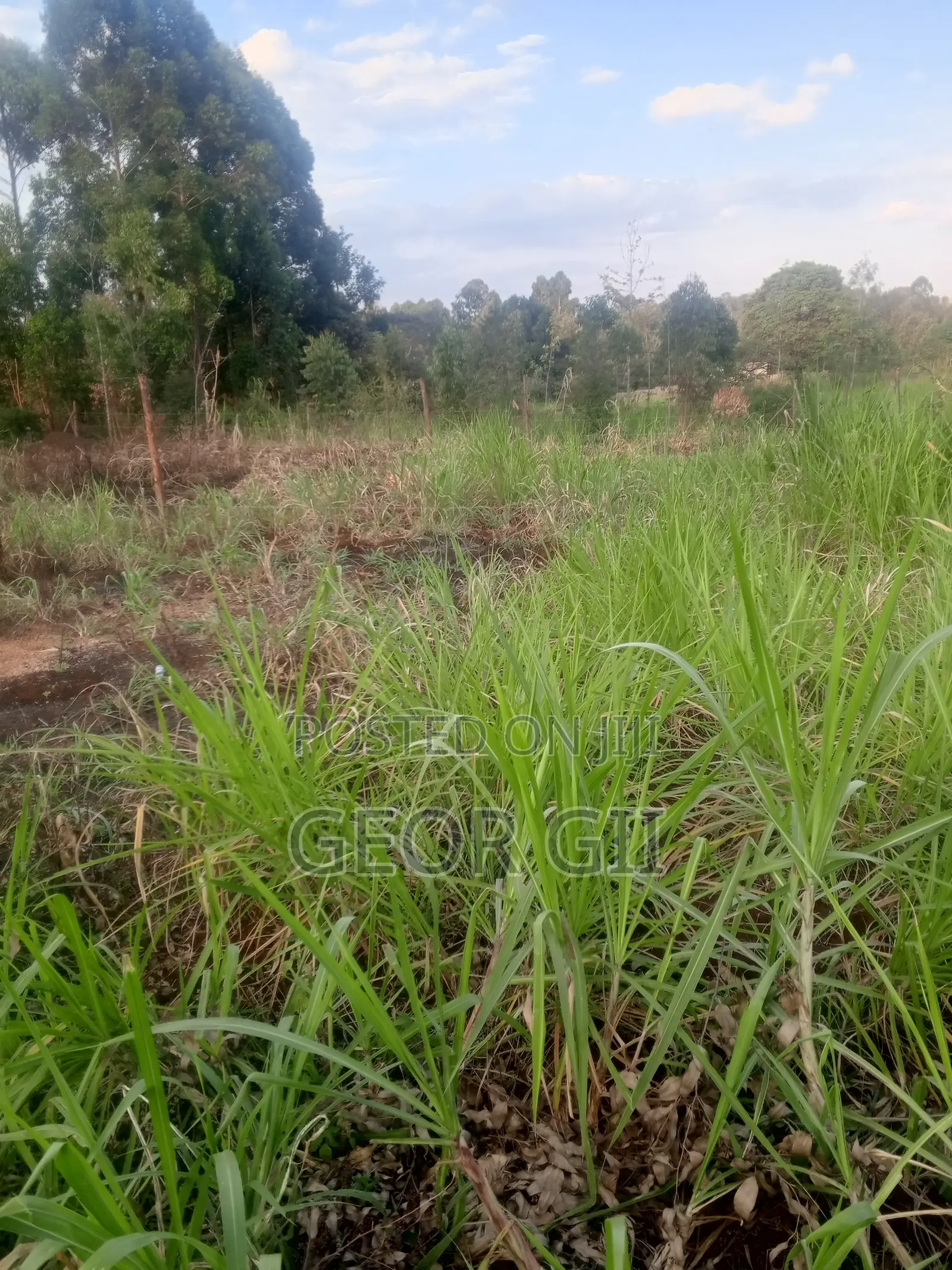 Plots for Sale