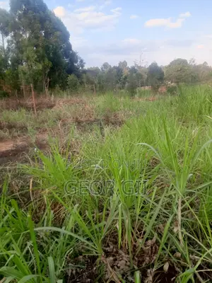 Plots for Sale