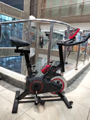 Romax EM-S500 Indoor Fitness Cycling Bike
