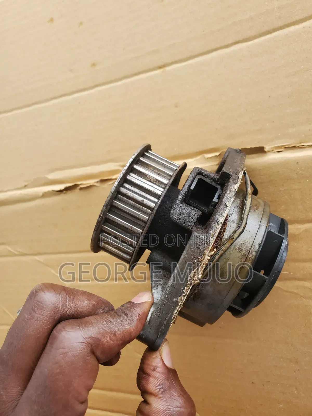Vw Water Pump