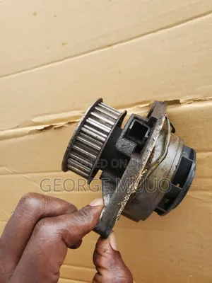 Vw Water Pump