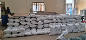 Roofing Nails