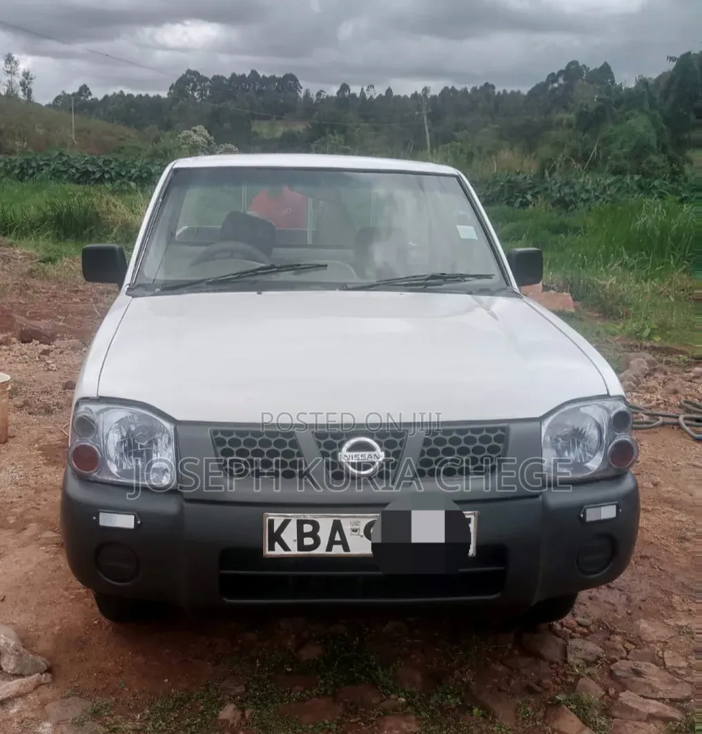 Nissan Hardbody 2004 White