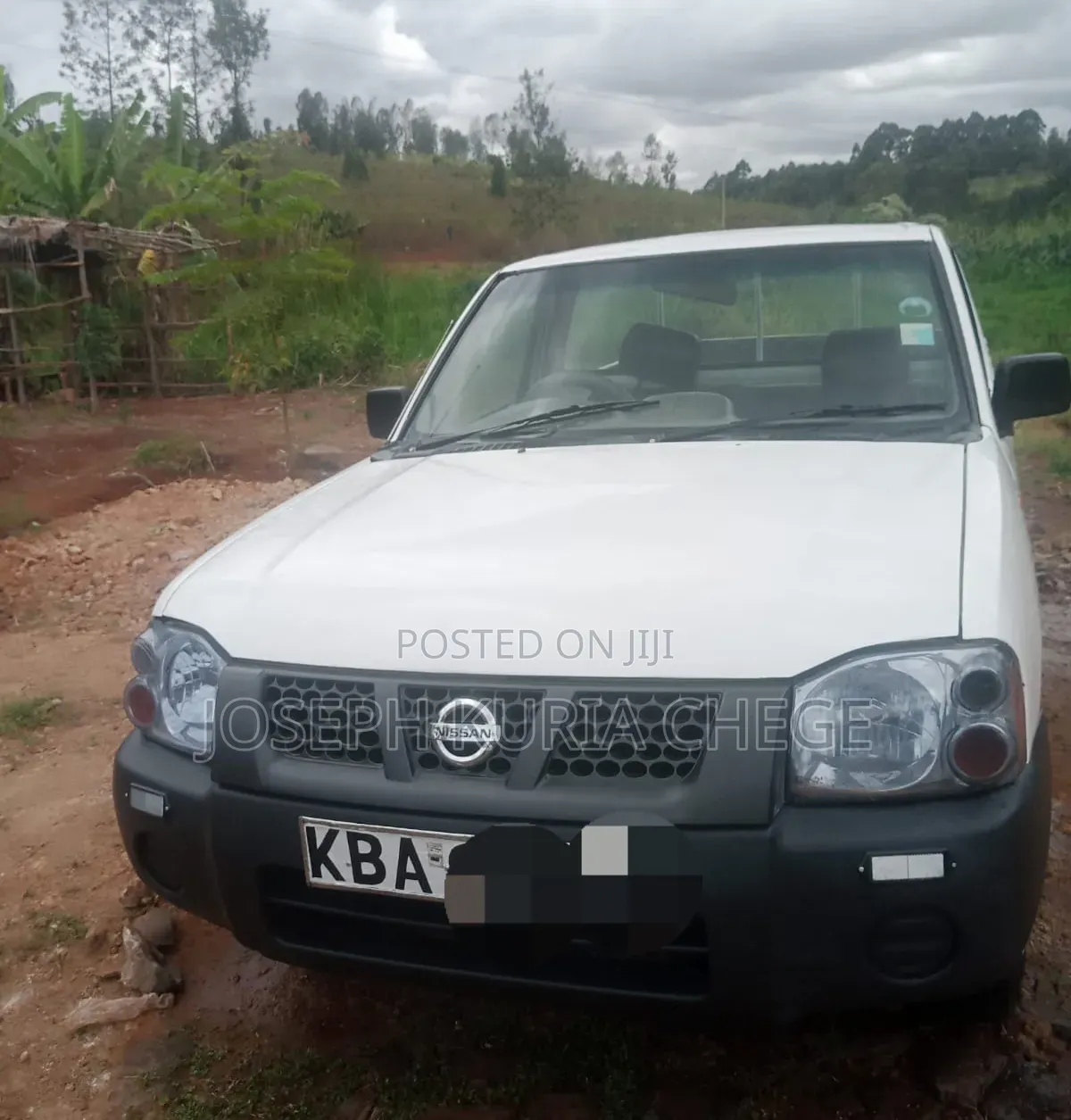 Nissan Hardbody 2004 White