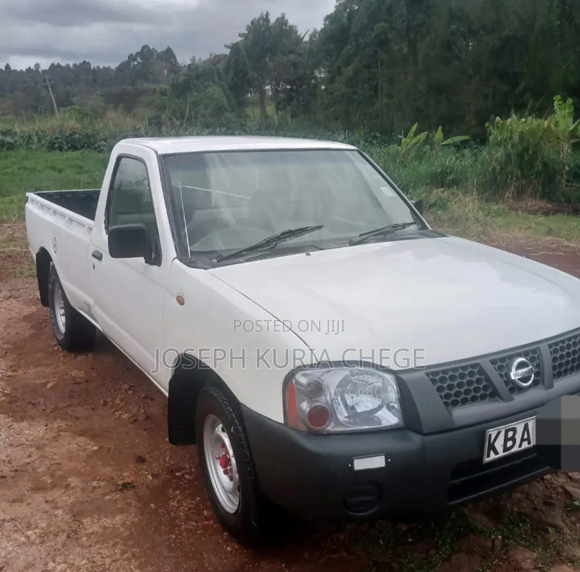 Nissan Hardbody 2004 White