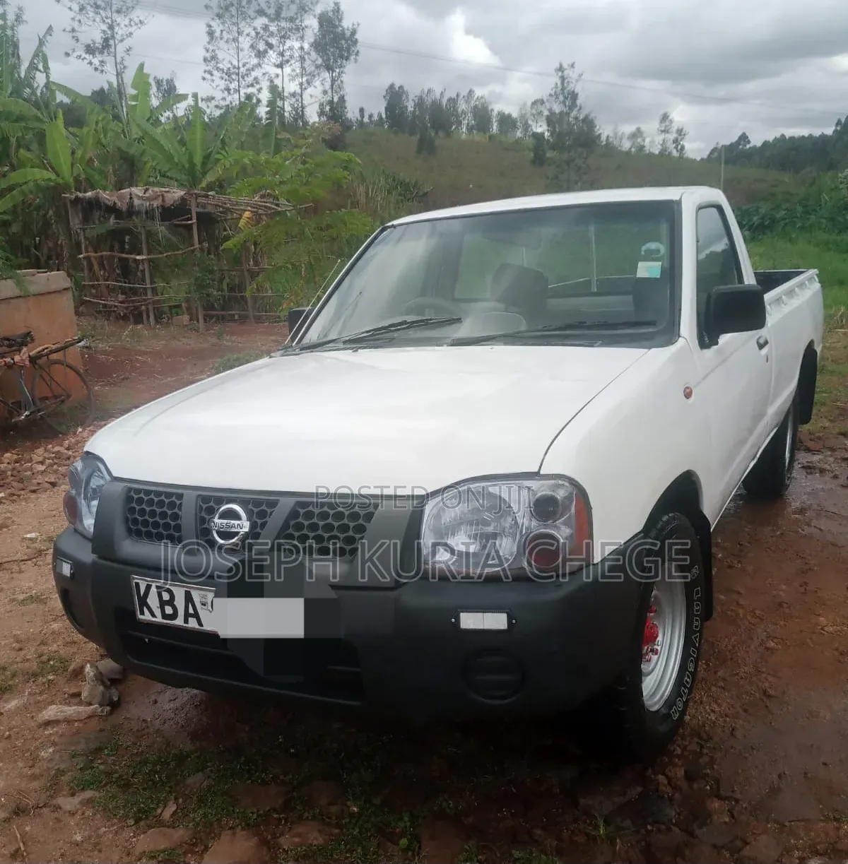 Nissan Hardbody 2004 White