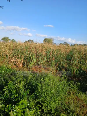 Mavueni Plots