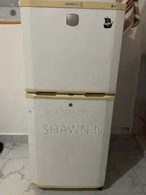 Double Door LG Fridge