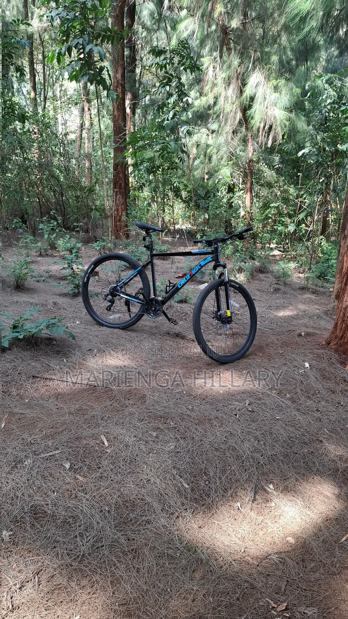 CruzTrek 29er Komendo Bicycle