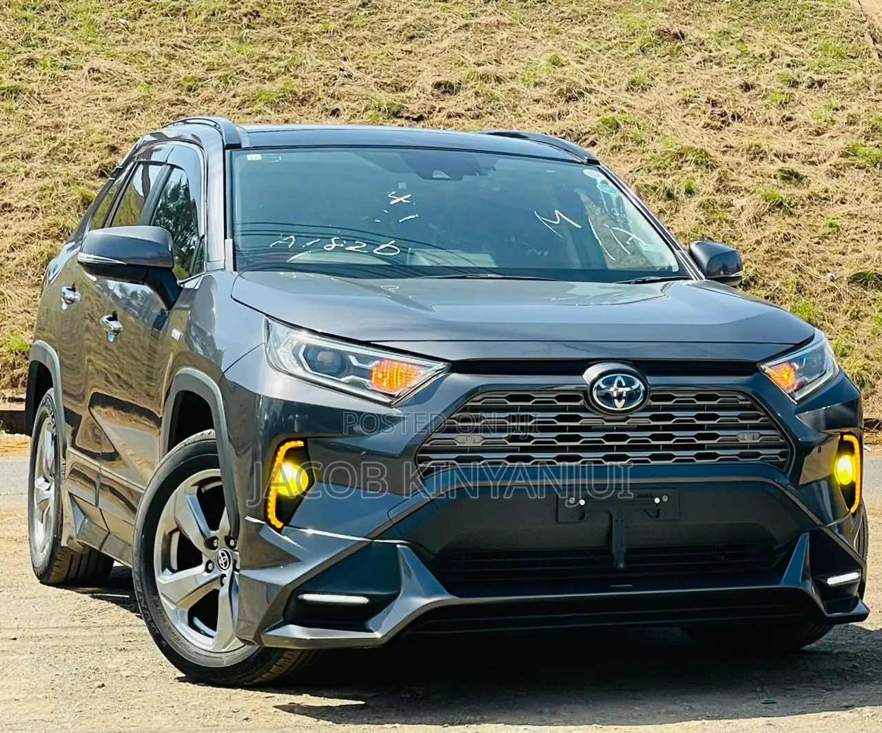 Toyota RAV4 2019 Gray