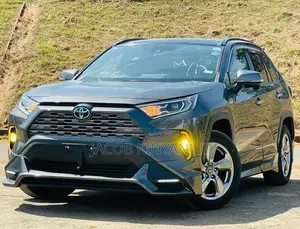 Toyota RAV4 2019 Gray