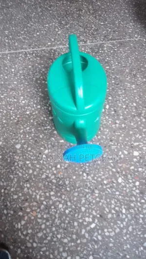 Green Plastic Premier Watering Can With Blue Detachable Sprinkler Head