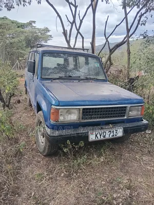 Isuzu Trooper Wagon 1981 Blue