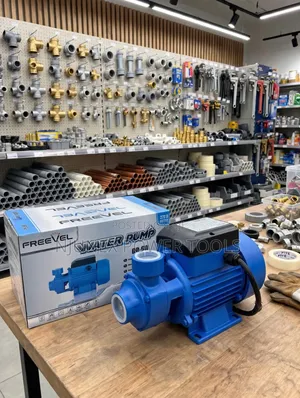 Freevel QB-60 0.5HP (370W) Electric Peripheral Booster Water Pump