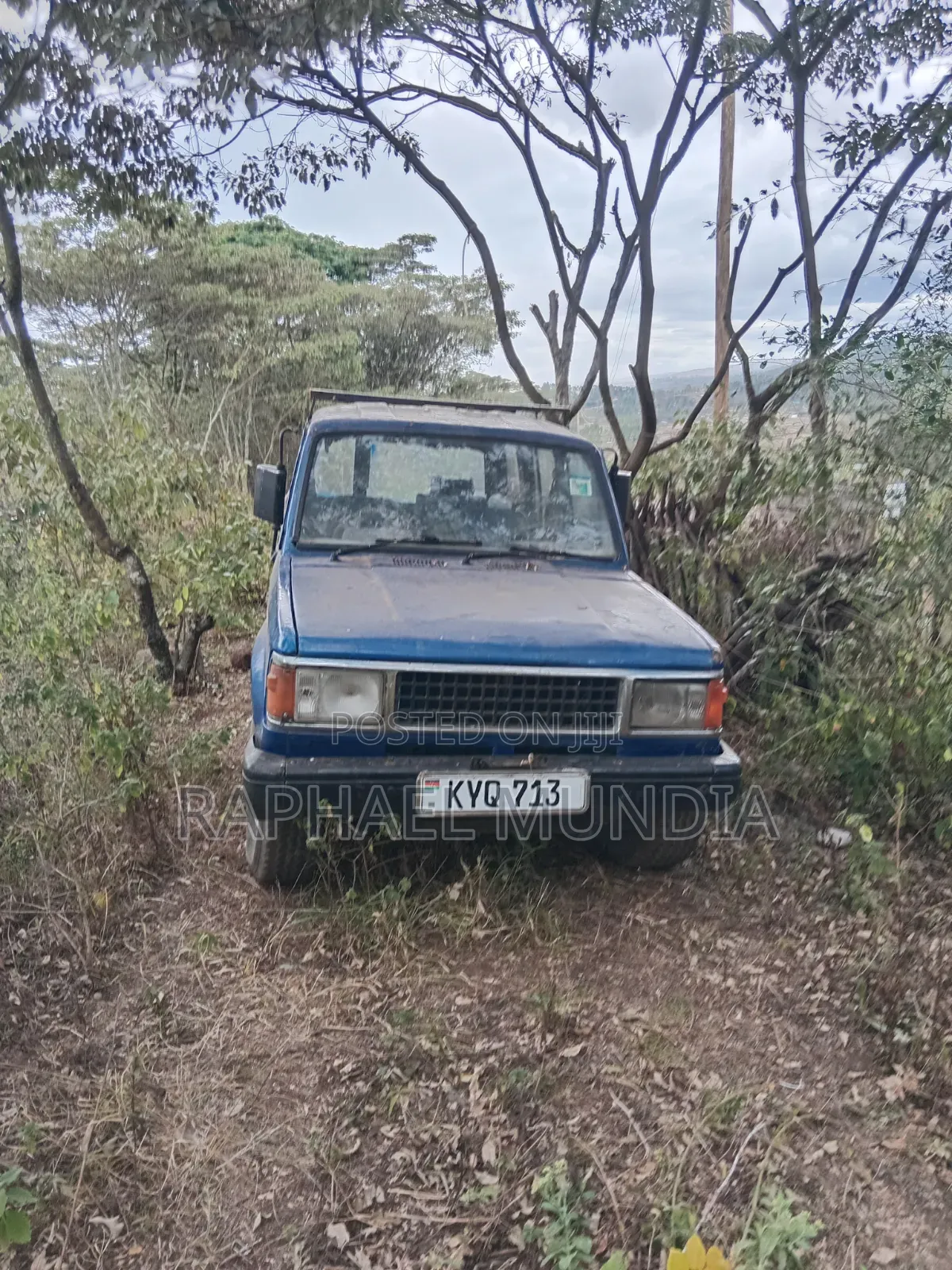 Isuzu Trooper Wagon 1981 Blue