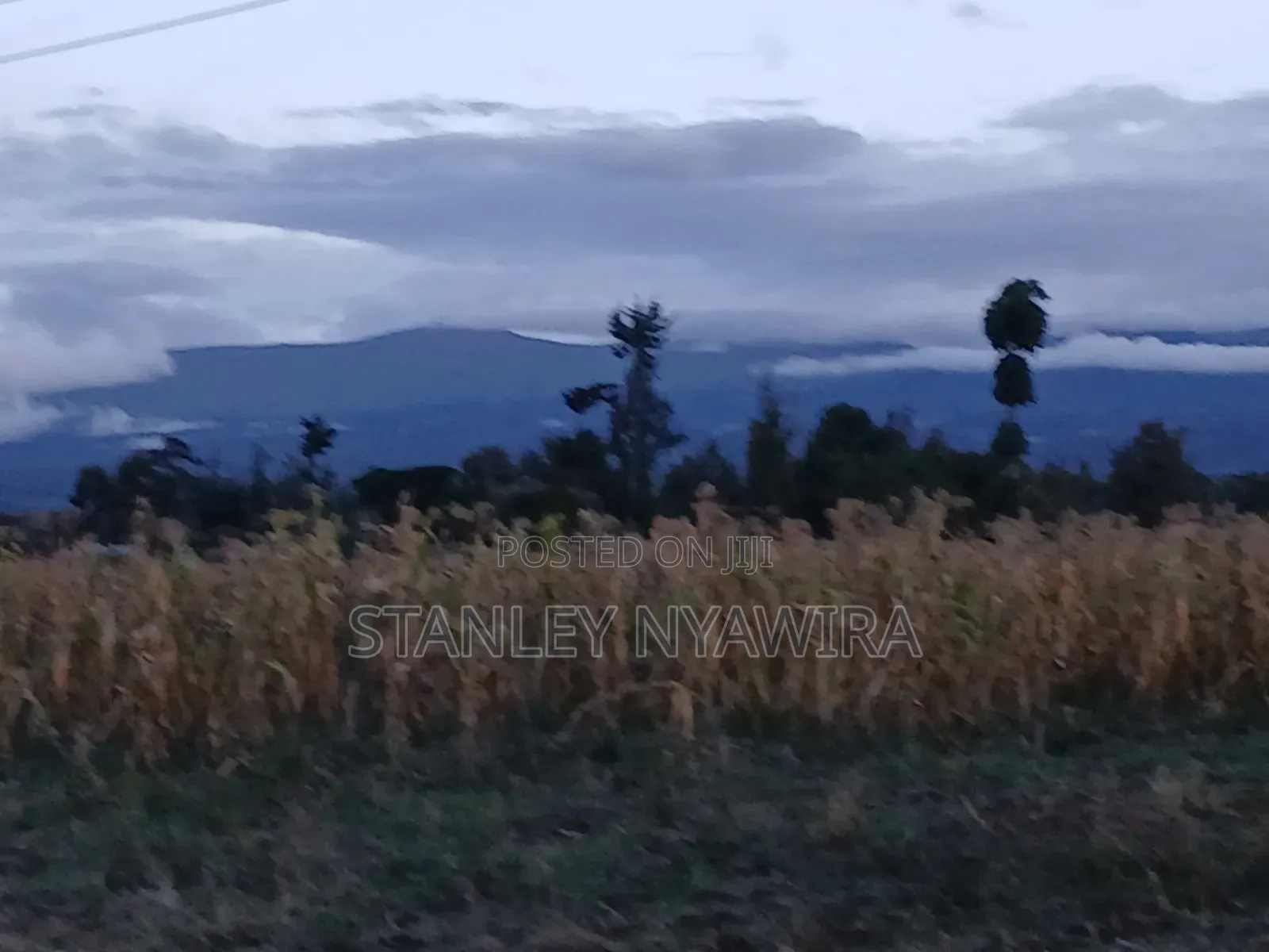 2 Acreas Nanyuki Kalalu