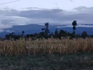 2 Acreas Nanyuki Kalalu