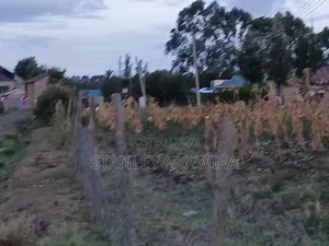 2 Acreas Nanyuki Kalalu