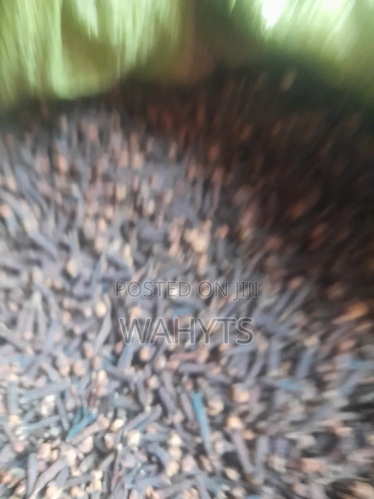 Organic Cloves