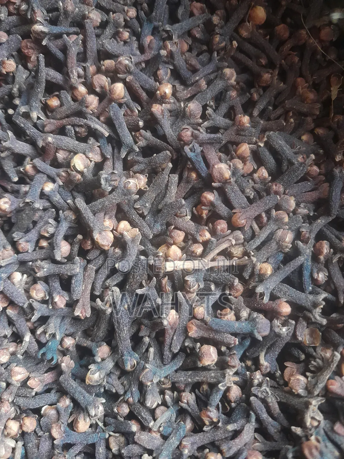 Organic Cloves
