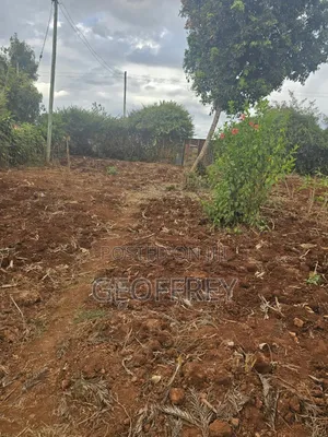 Selling 1 Acre in Kenyatta Rd Ikuma Gatundu