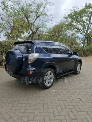 Toyota RAV4 2008 Blue
