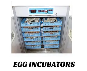 Egg Incubator 528eggs With Automatic Roller AC Dc