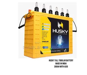 India Husky Tall Tubular Battery 300ah