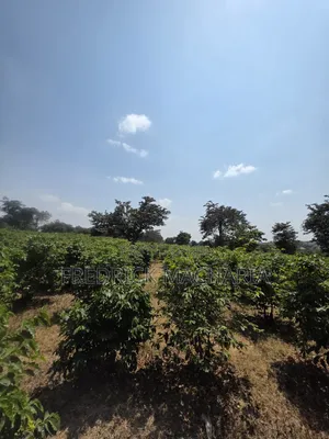 17 1⁄2 Acres Land for Sale Ruiru Town- Tatucity Road