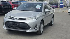 Toyota Axio 2019 Silver