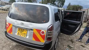 Toyota Probox 2009 Silver