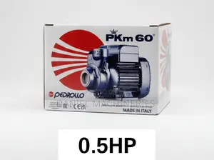 Pkm60 Dayliff Pedrollo Booster Pump 0.5hp
