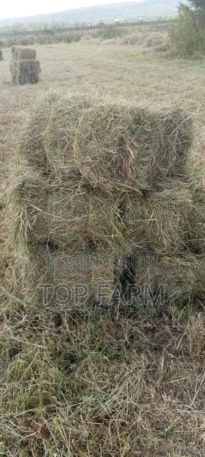 Hay for Sale. 190 Per Bale