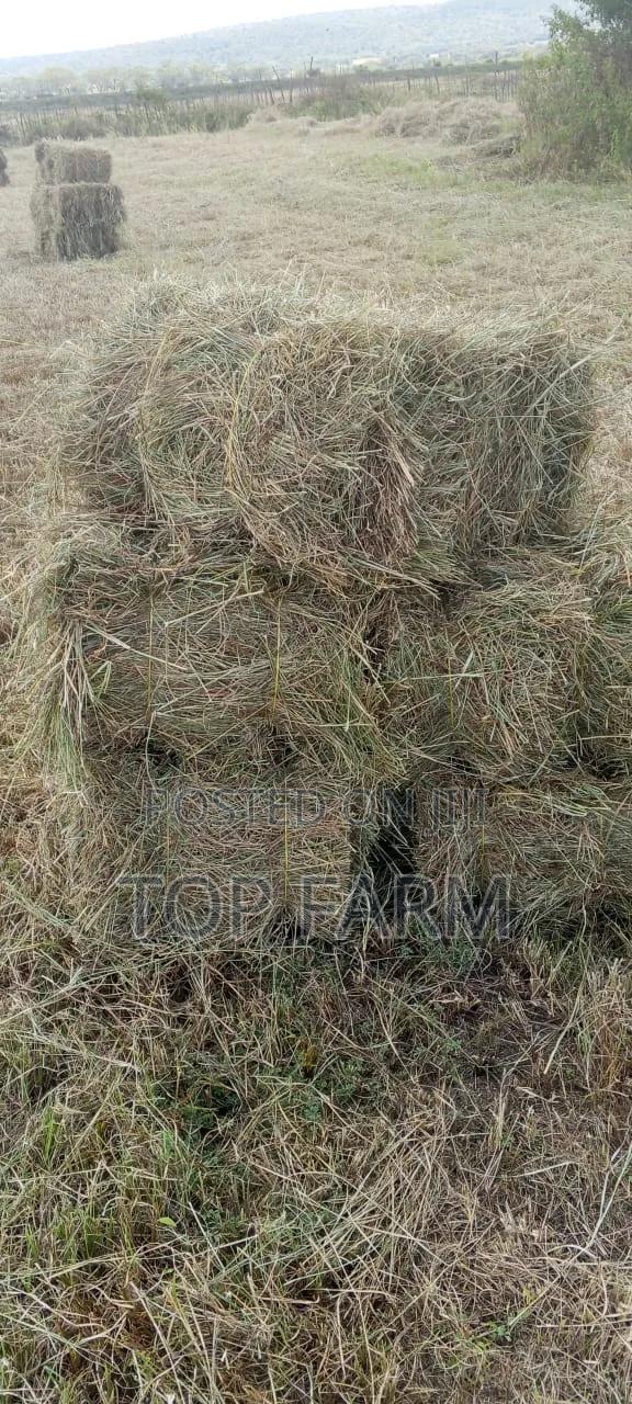 Hay for Sale. 190 Per Bale
